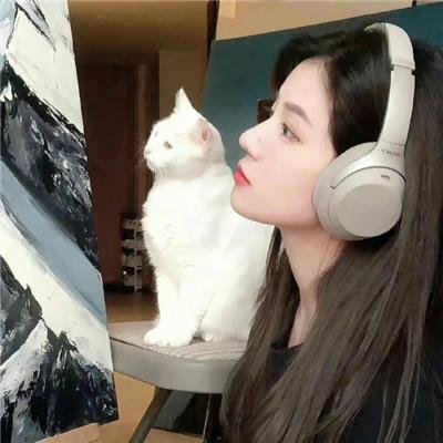 猫和老鼠:间谍使命